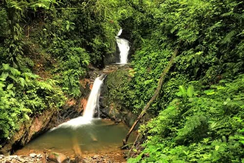 Descubriendo Monteverde