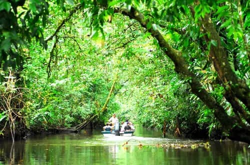 Explorando los Canales de Tortuguero