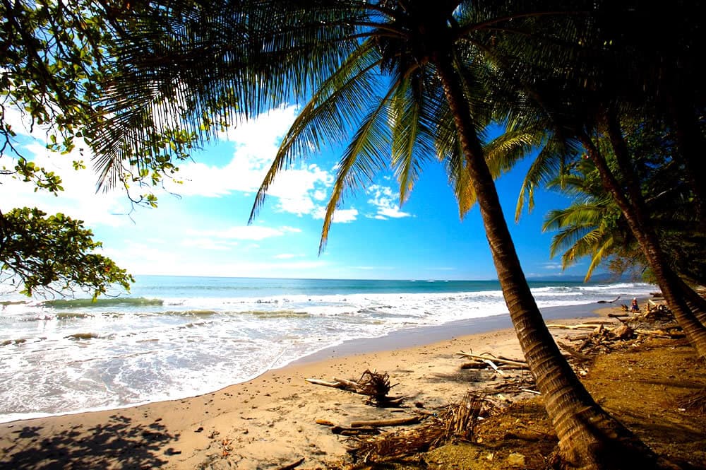 Itinerario Tropical: 5 Días para Descubrir la Magia de Puerto Viejo Costa Rica.