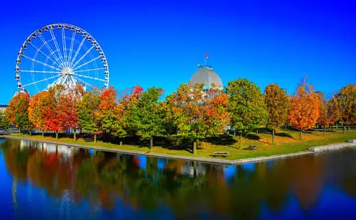 Día Libre en Montreal: Descubre la Ciudad a Tu Ritmo