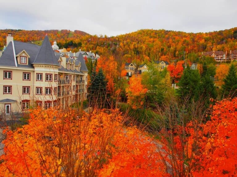 tour a Canadá 2023-2024